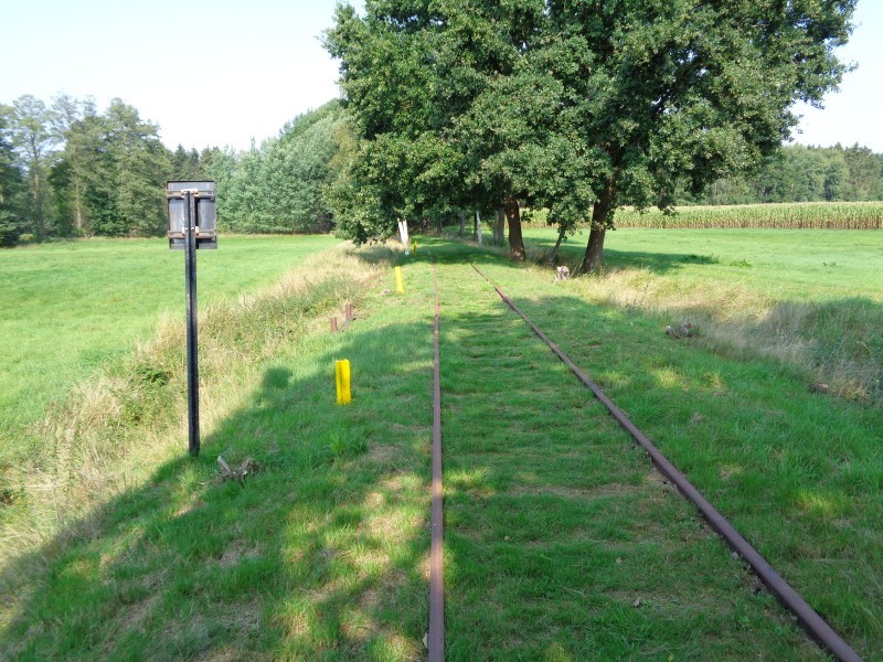 ZWNEGI6